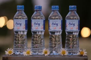 Fairy Water 500ML